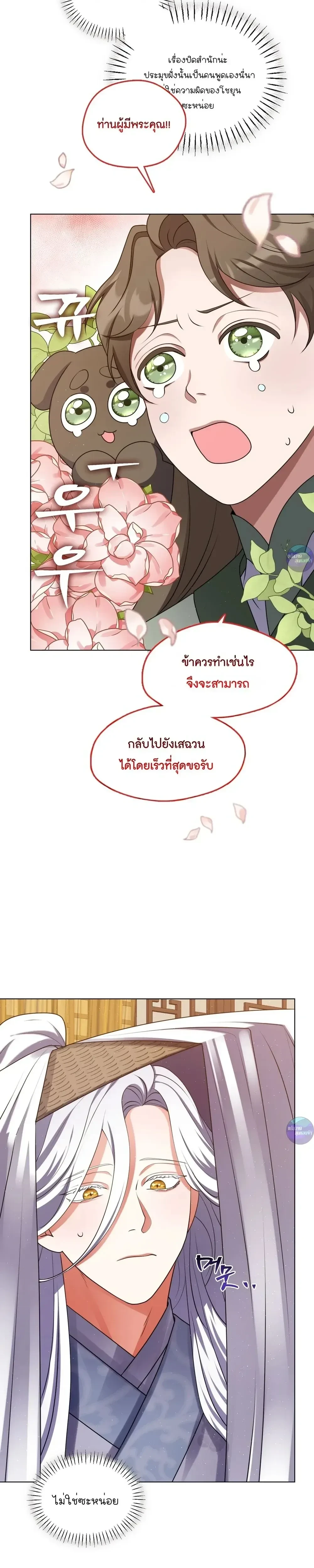 หน้าที่ 13