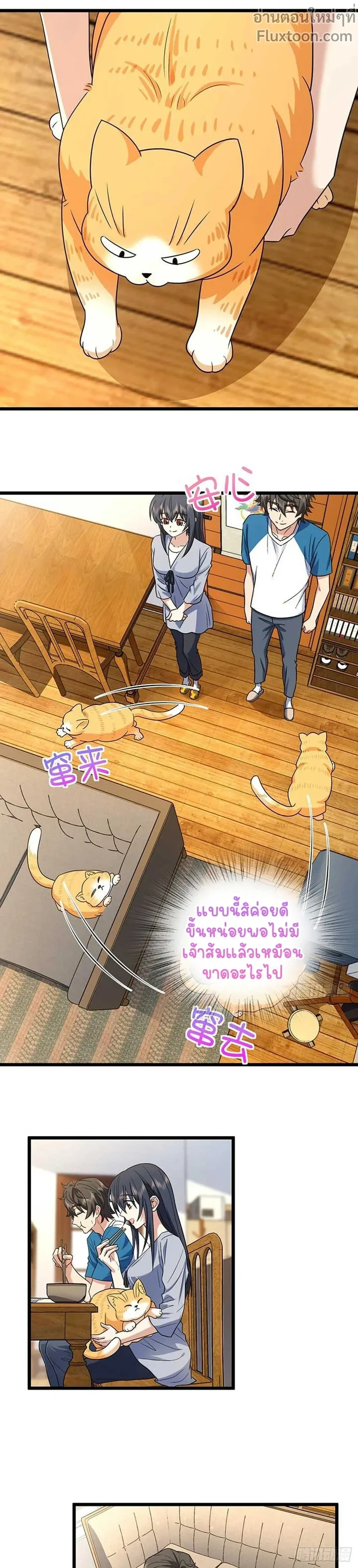 หน้าที่ 11
