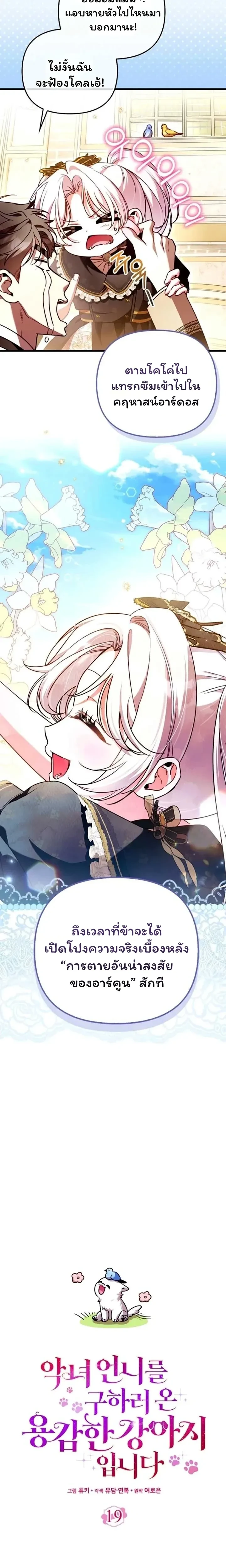 หน้าที่ 13