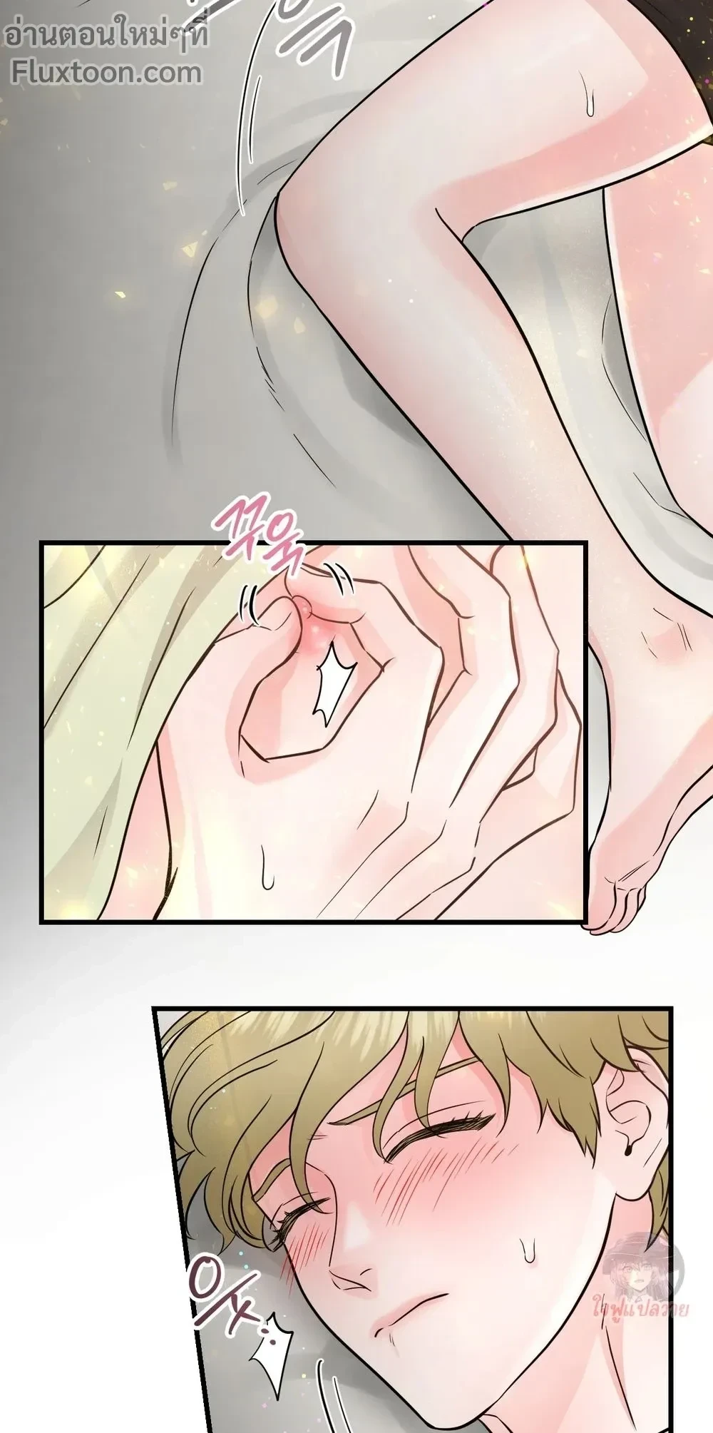 หน้าที่ 13