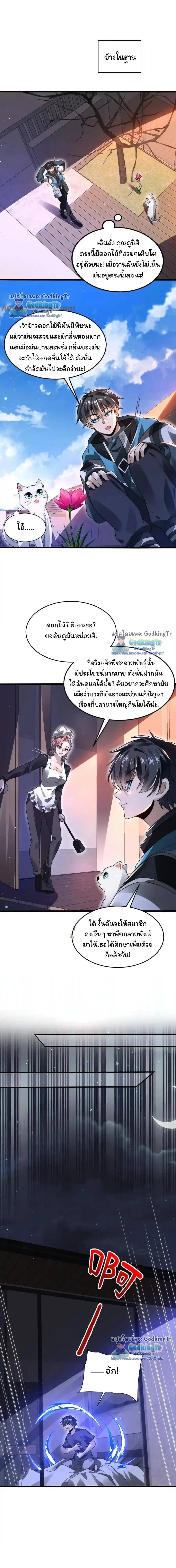 หน้าที่ 4