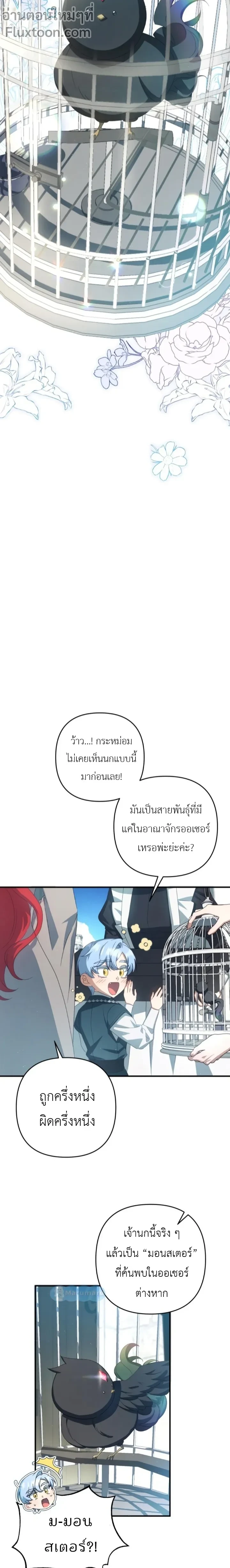 หน้าที่ 11