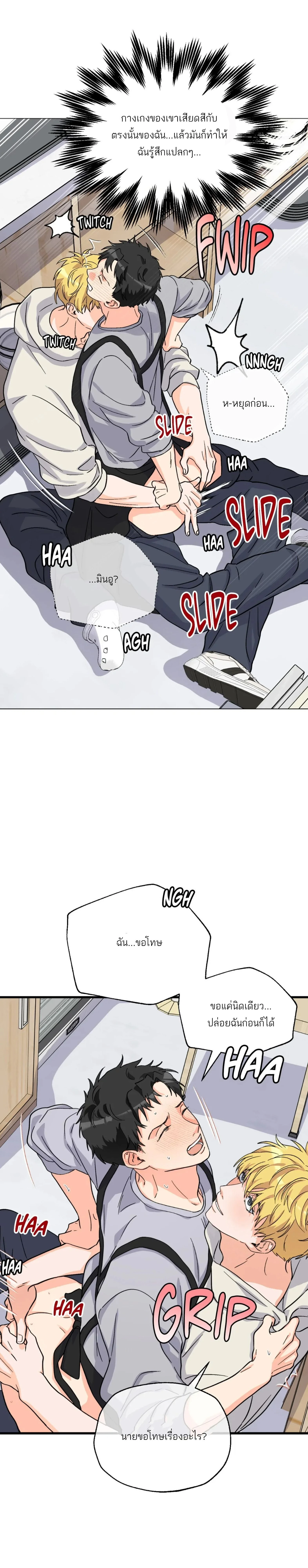 หน้าที่ 13