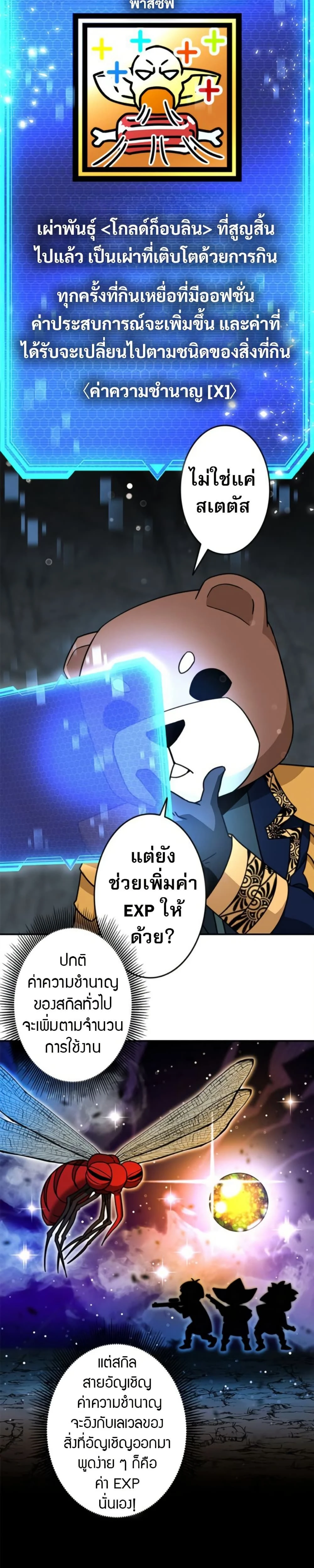 หน้าที่ 11