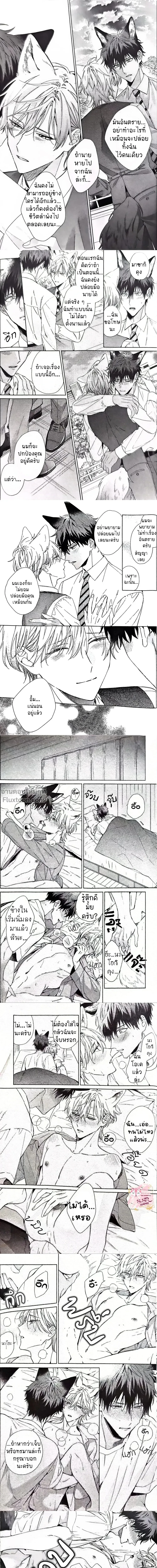 หน้าที่ 8