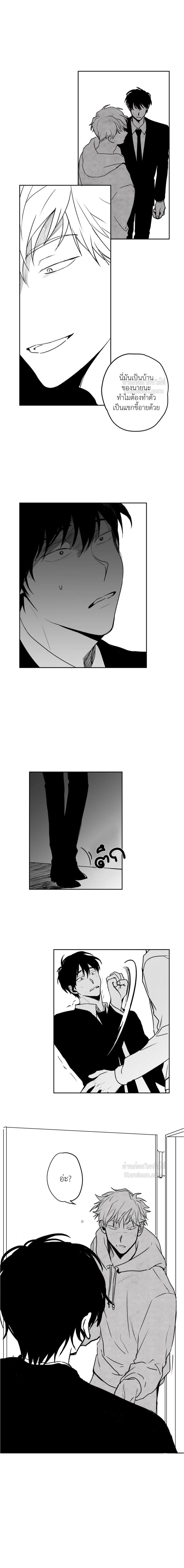 หน้าที่ 3