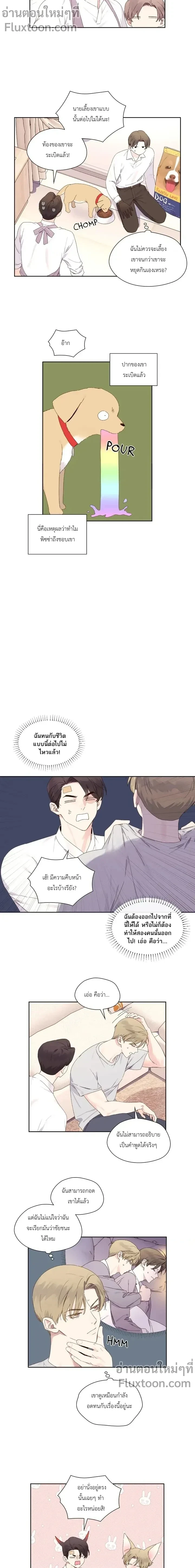 หน้าที่ 5