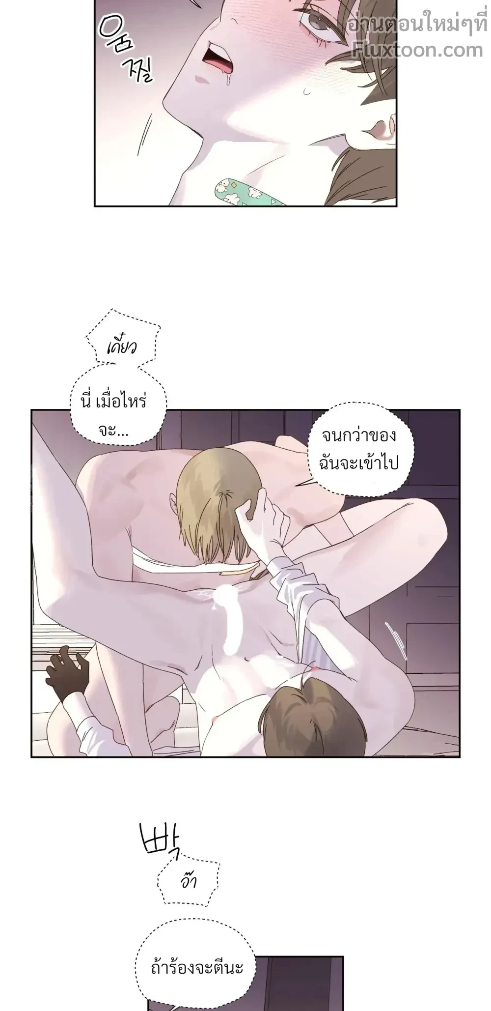 หน้าที่ 7