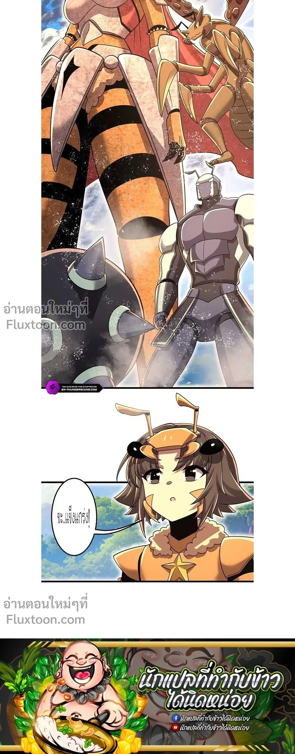 หน้าที่ 13