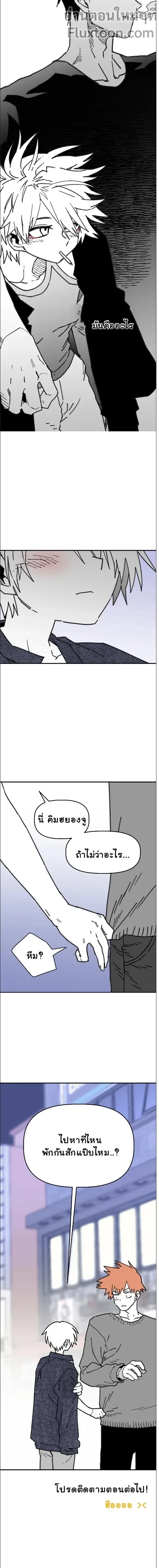 หน้าที่ 13