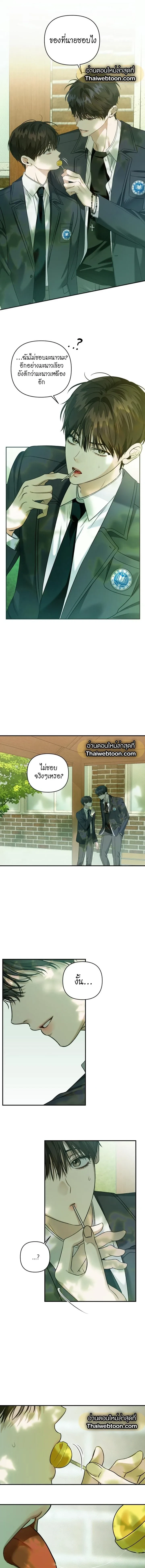 หน้าที่ 8