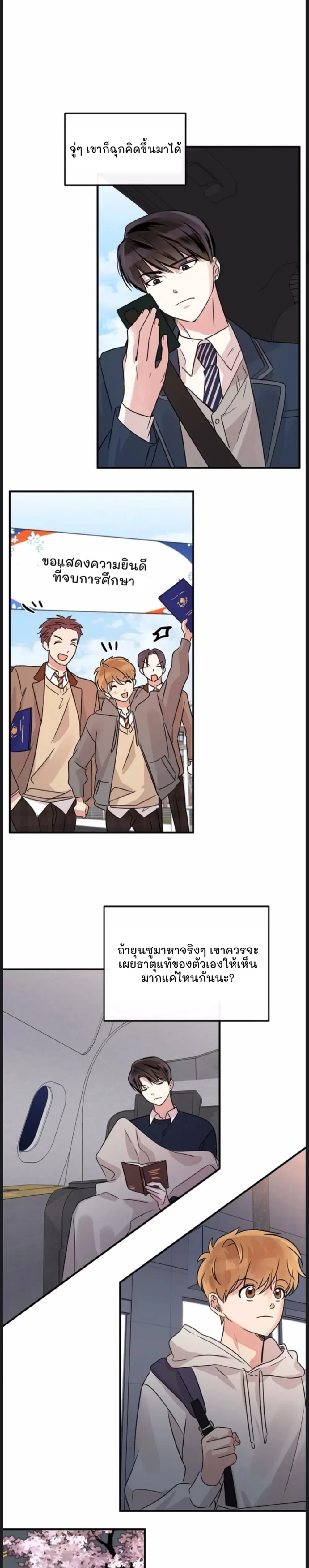 หน้าที่ 17