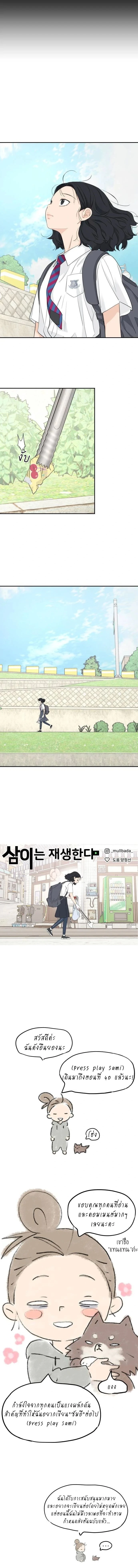 หน้าที่ 13