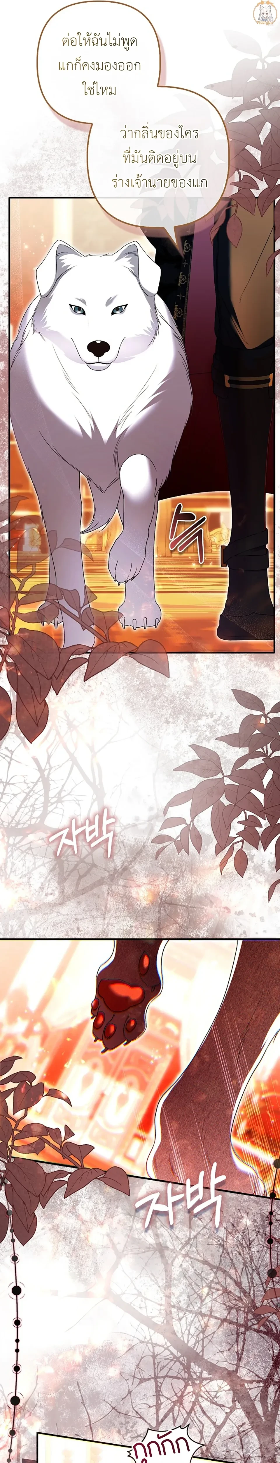 หน้าที่ 17