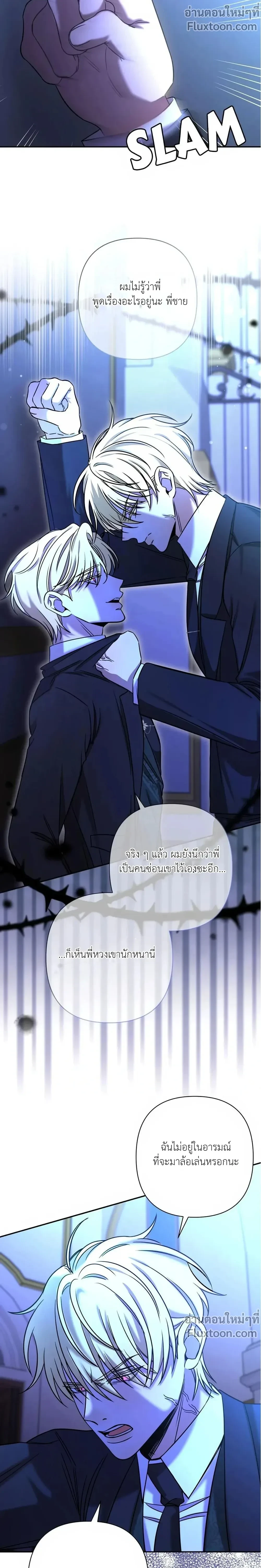 หน้าที่ 13