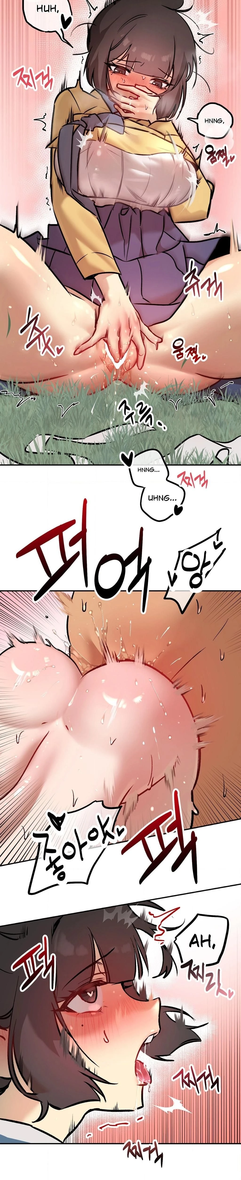 หน้าที่ 12