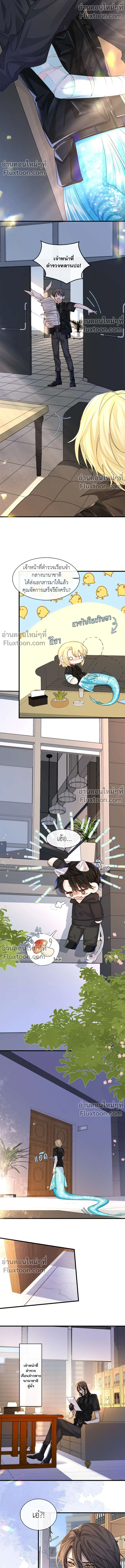 หน้าที่ 4