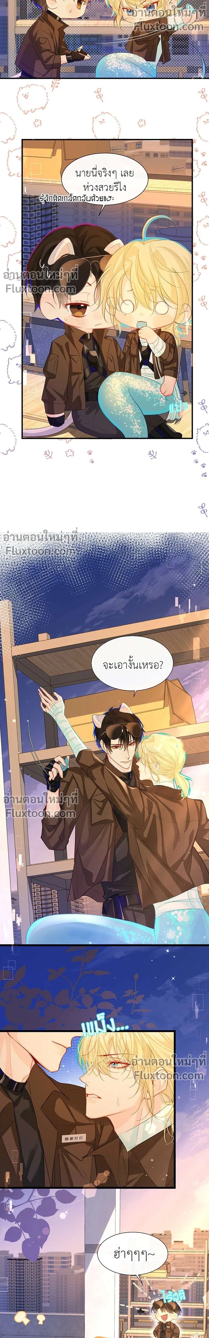 หน้าที่ 3