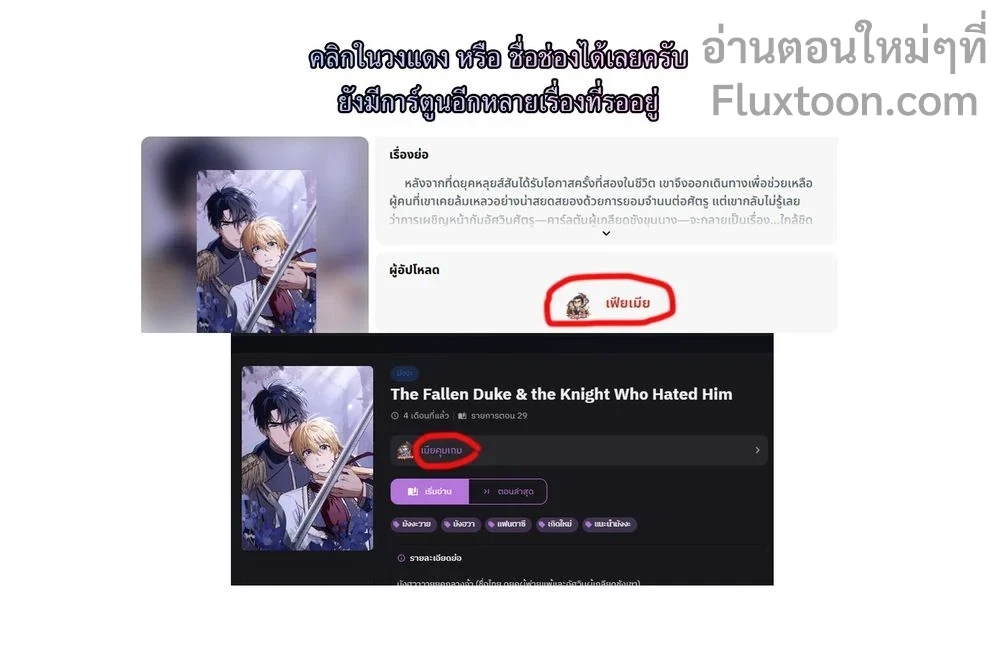 หน้าที่ 13