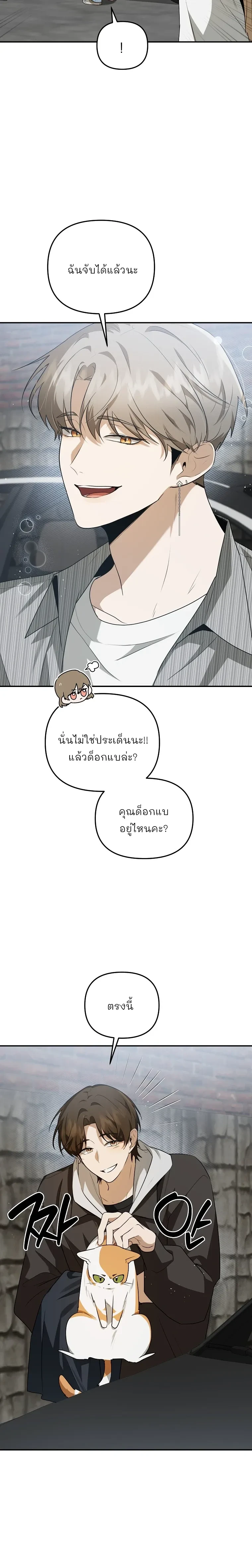 หน้าที่ 17