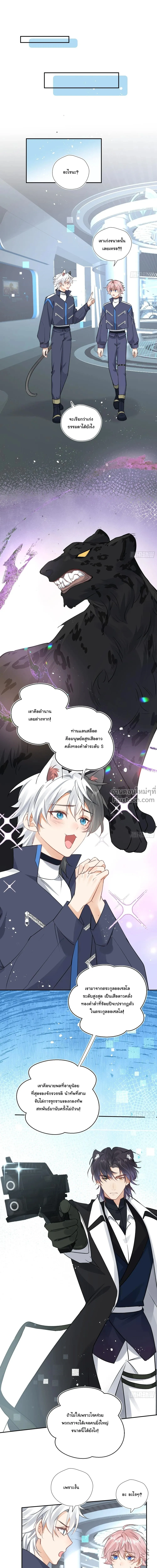 หน้าที่ 4