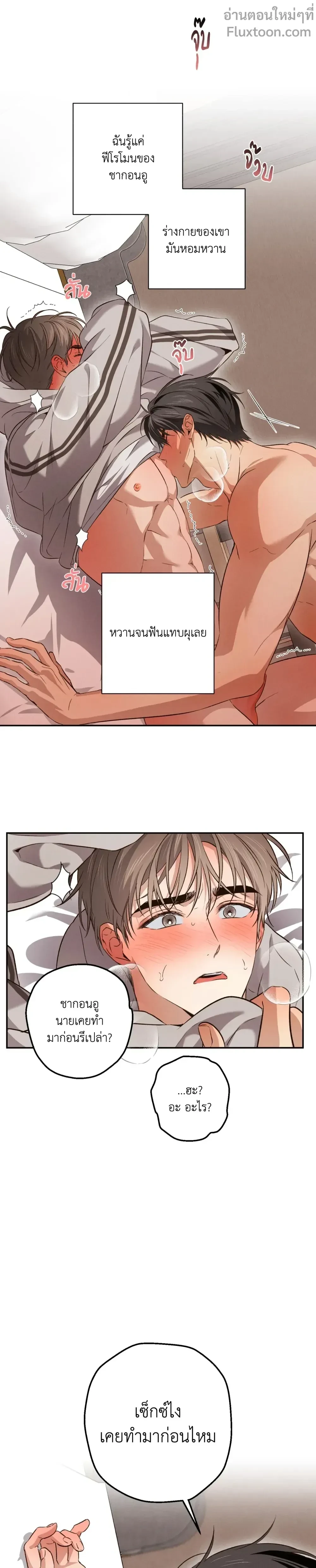 หน้าที่ 15