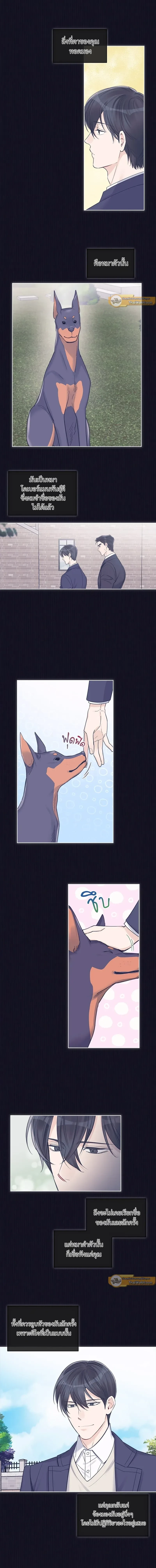 หน้าที่ 4