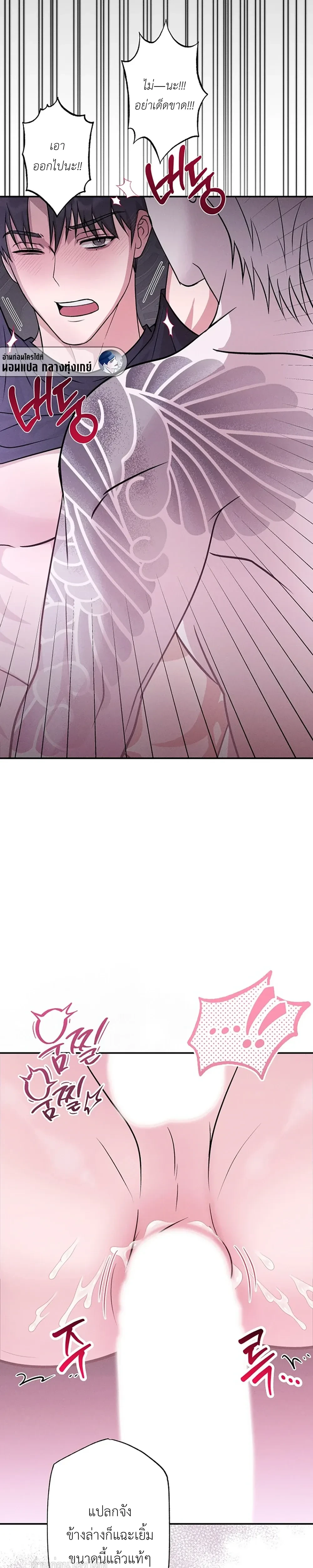 หน้าที่ 11