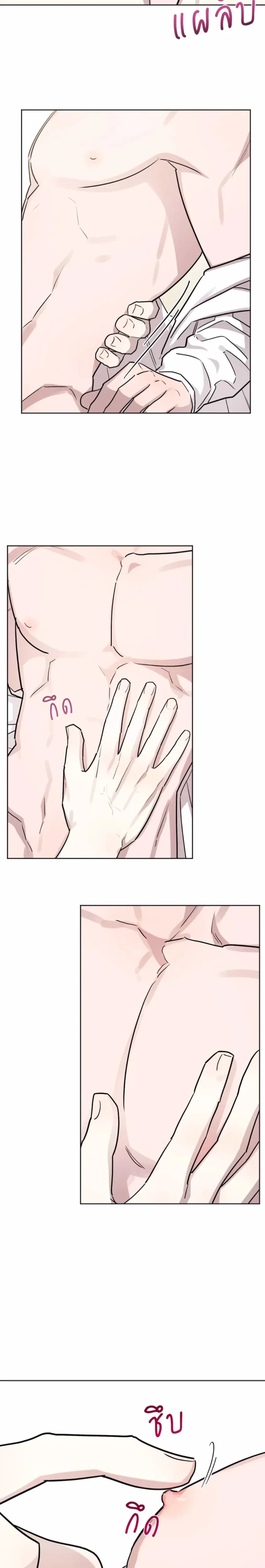 หน้าที่ 17