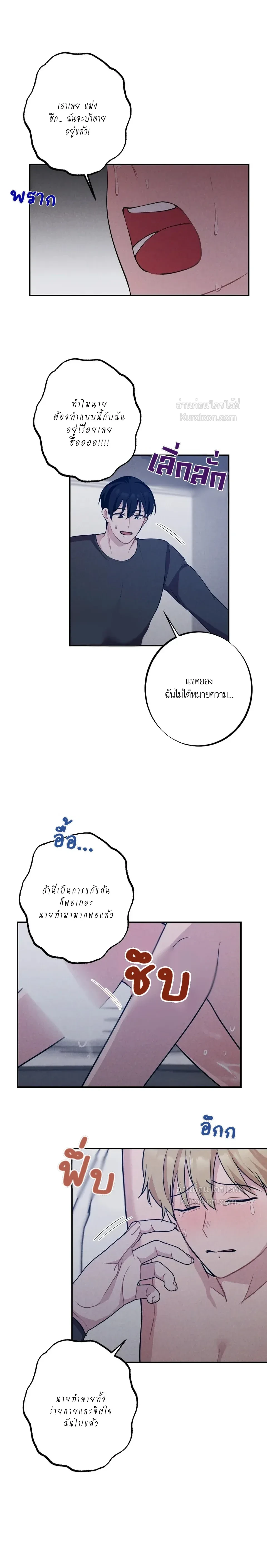 หน้าที่ 13