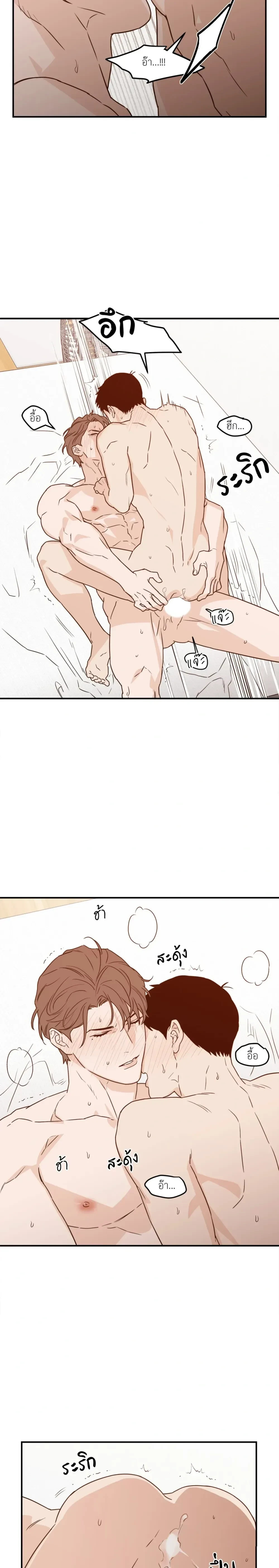 หน้าที่ 17