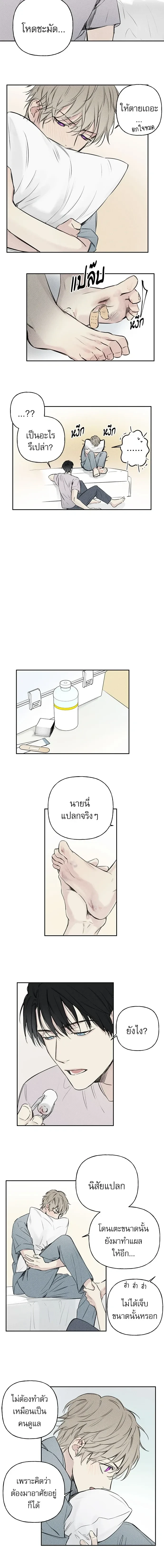 หน้าที่ 6