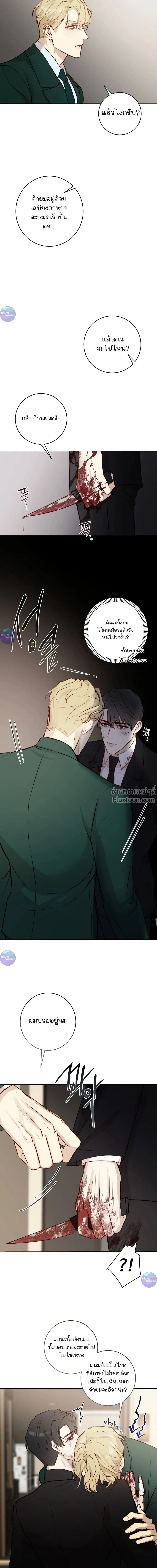 หน้าที่ 17