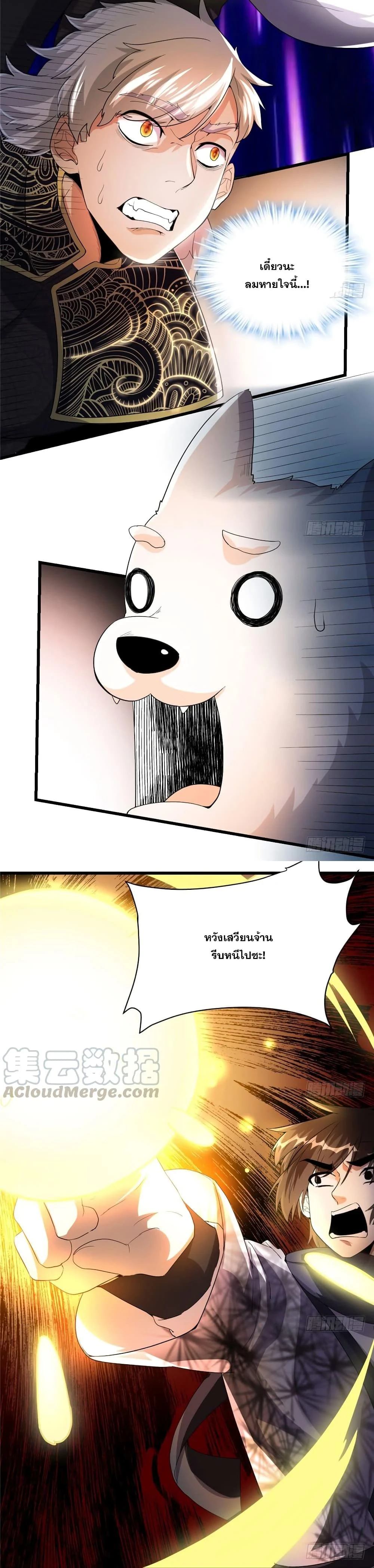 หน้าที่ 5