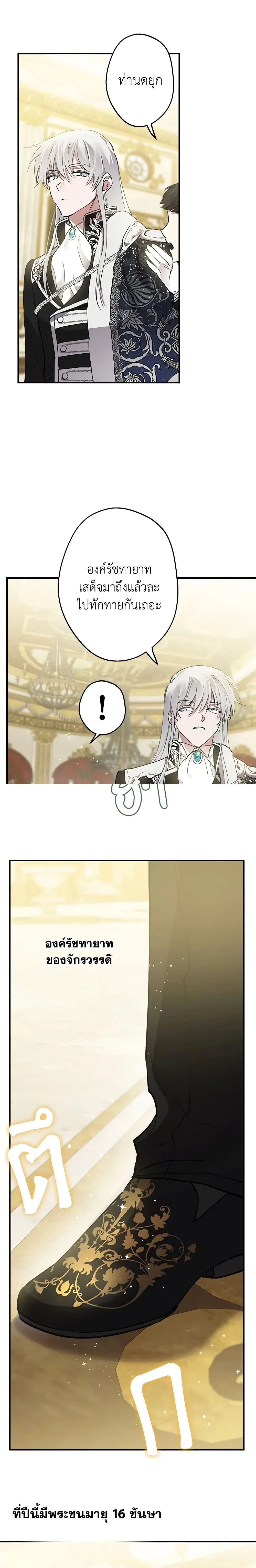 หน้าที่ 13