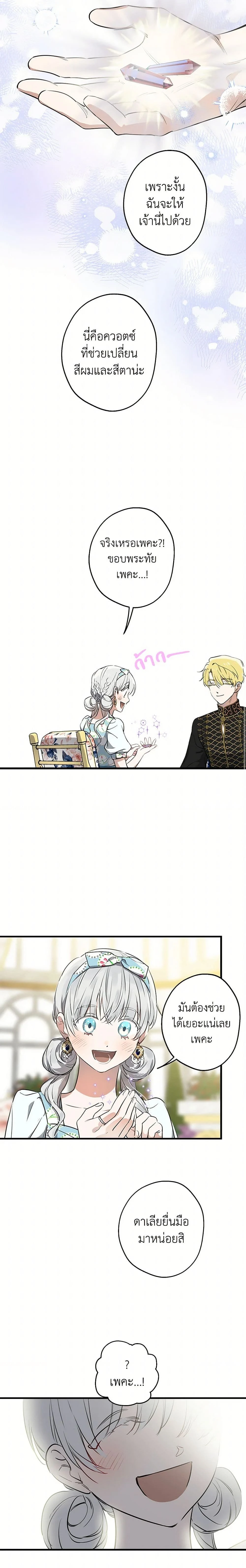 หน้าที่ 17