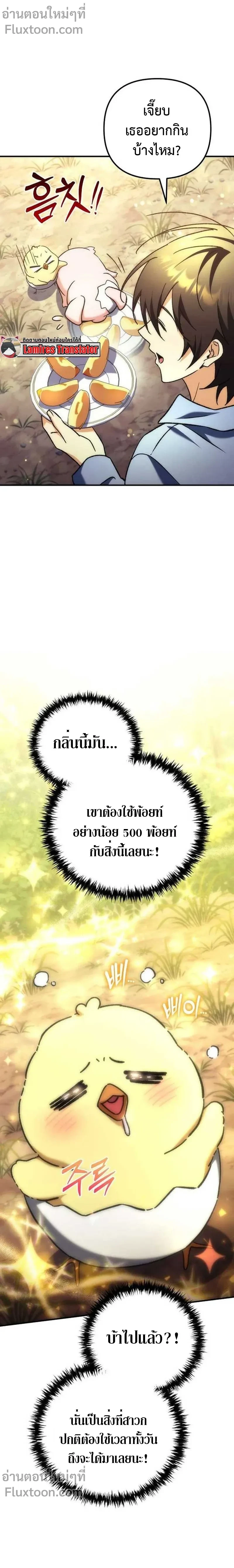 หน้าที่ 17