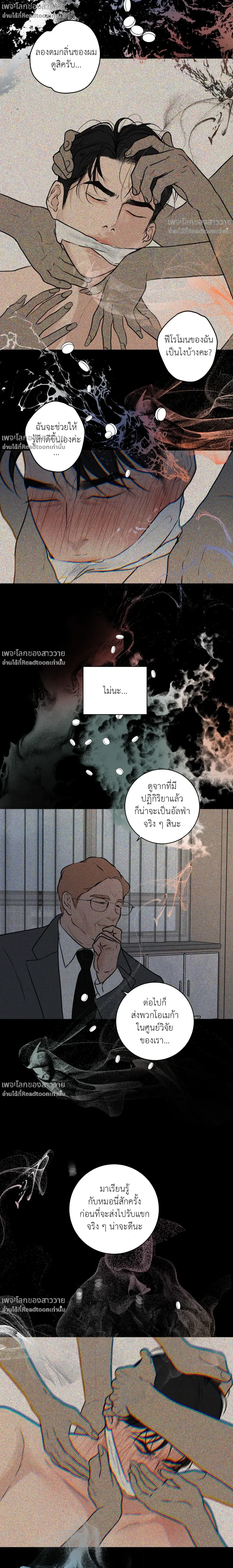 หน้าที่ 11