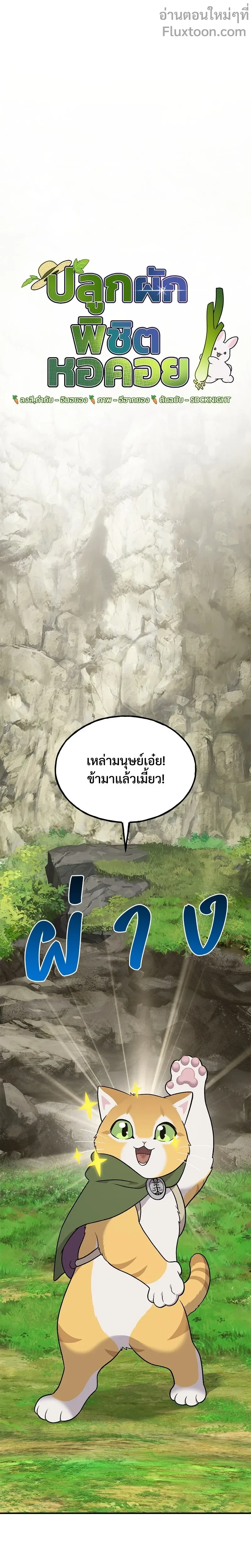 หน้าที่ 11