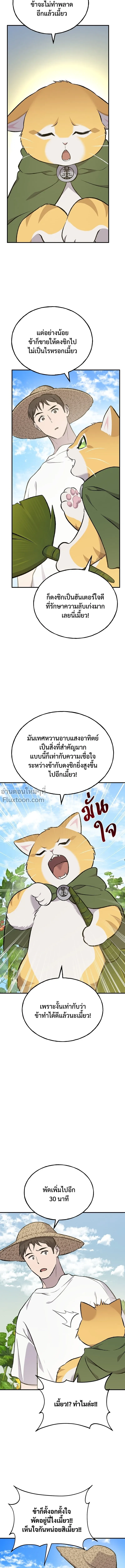 หน้าที่ 22