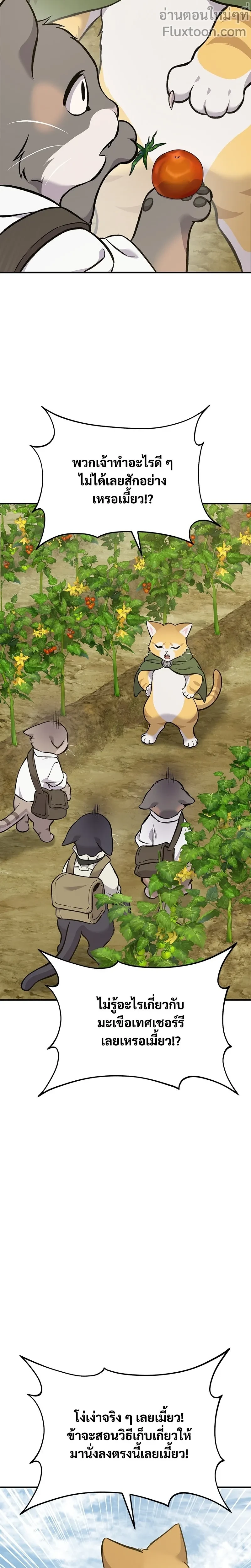 หน้าที่ 27