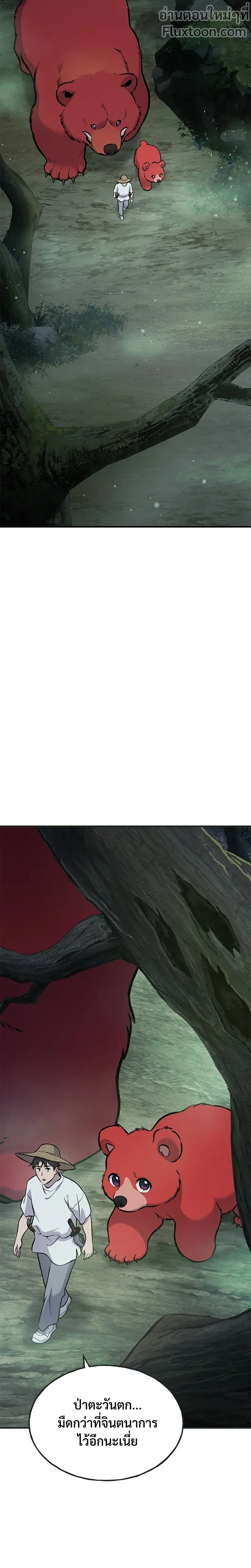 หน้าที่ 13