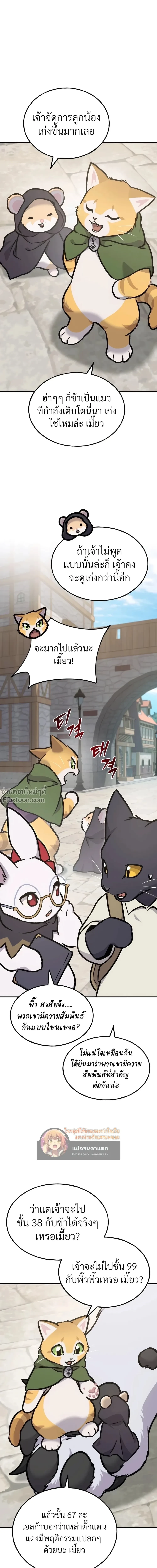 หน้าที่ 37