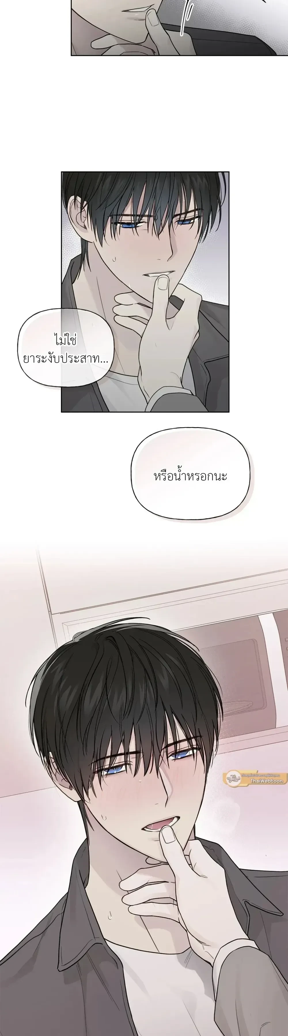 หน้าที่ 5