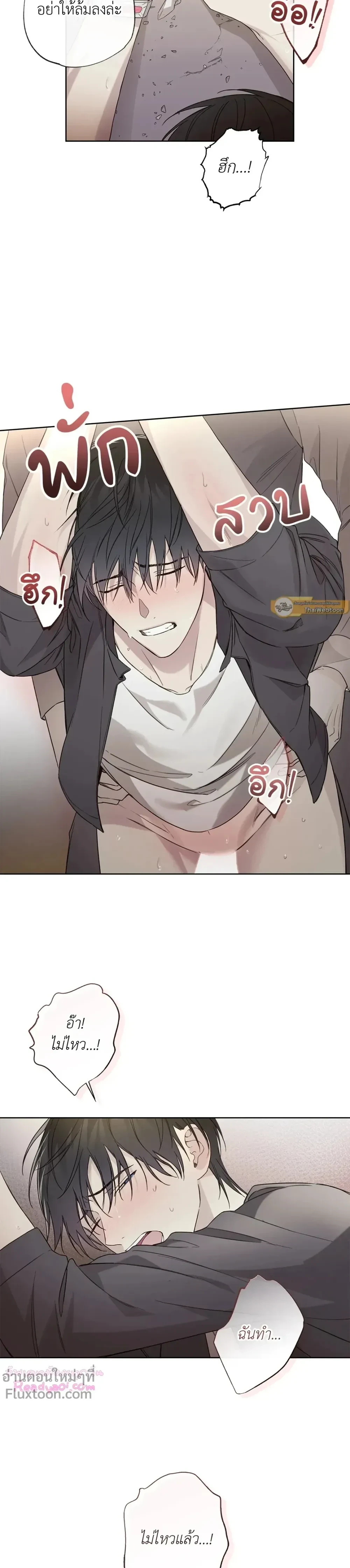 หน้าที่ 13