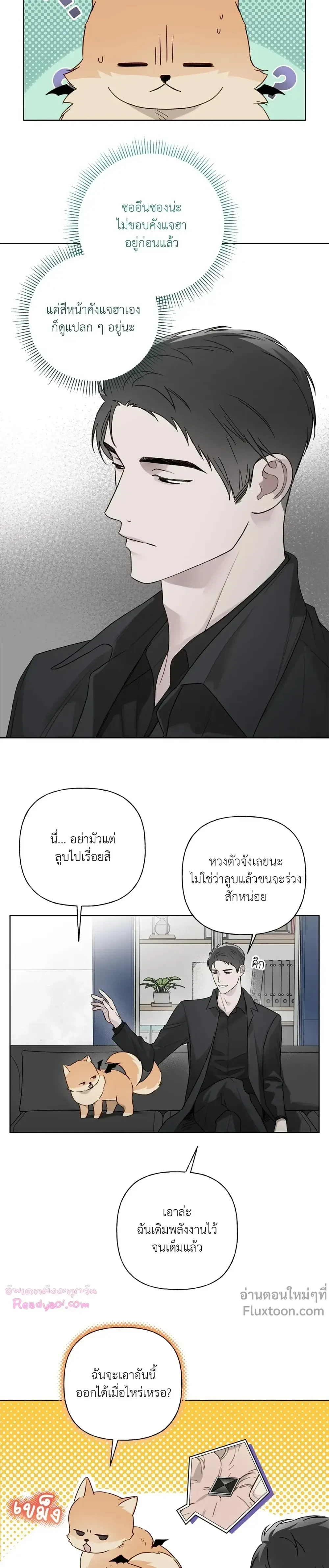 หน้าที่ 3