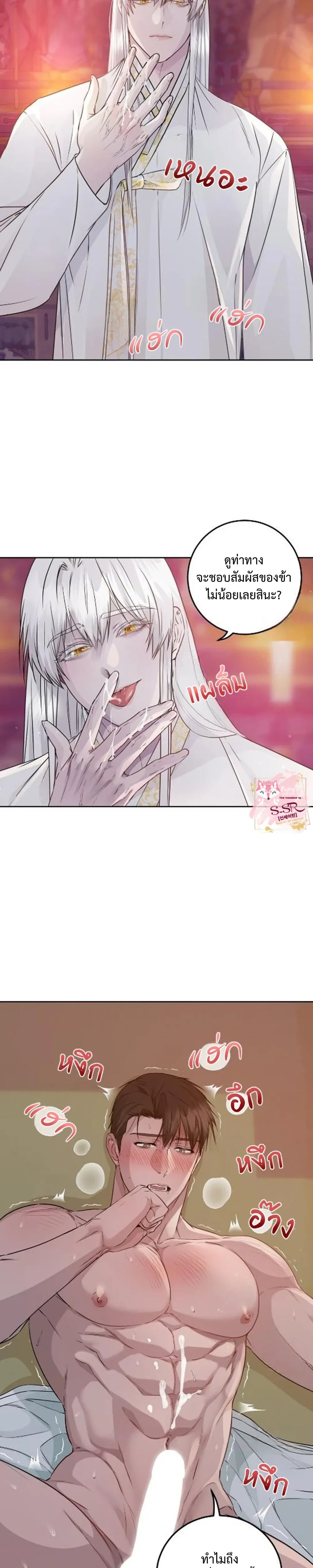 หน้าที่ 17