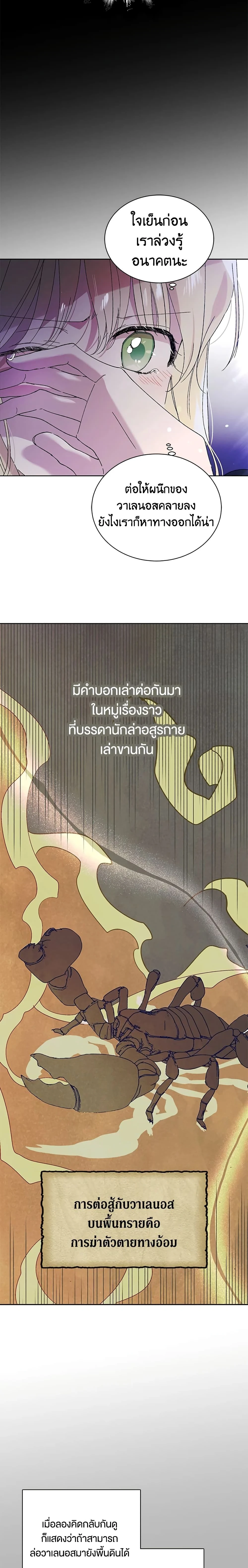 หน้าที่ 13