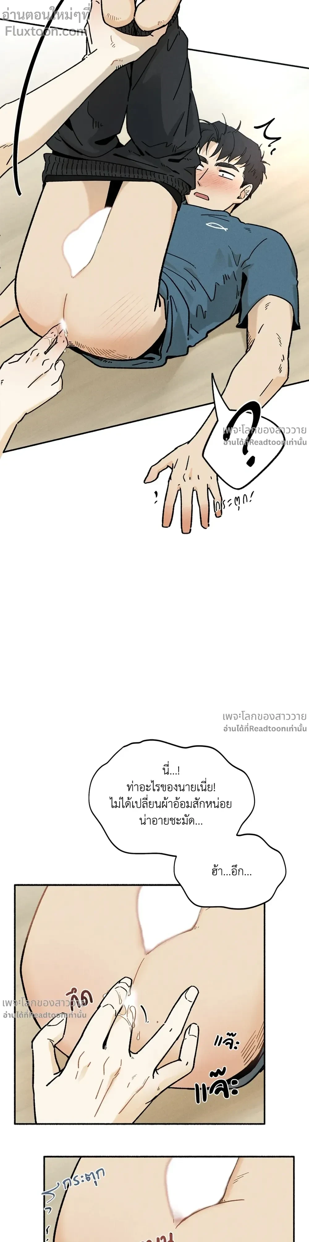 หน้าที่ 17