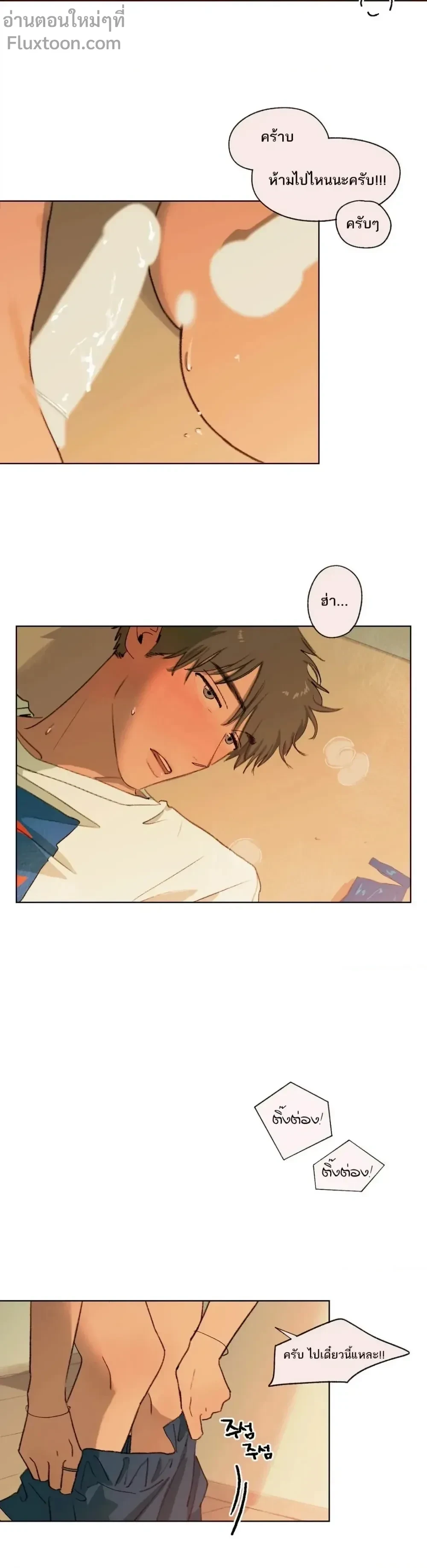 หน้าที่ 11